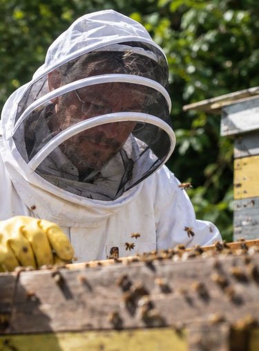 Shared apiary experience