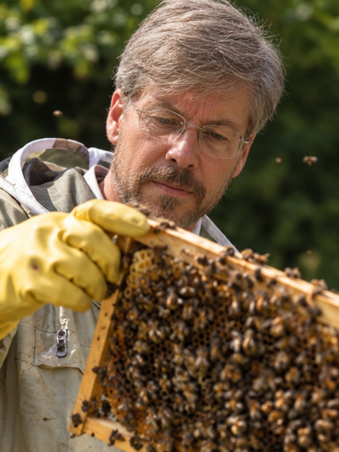 Beaumont Fox apiary wellbeing experience