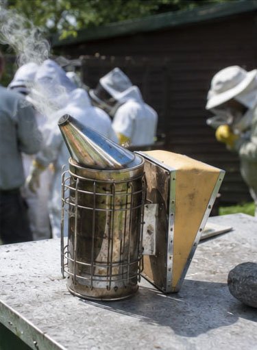 Beekeeping during a Beaumont Fox wellbeing day
